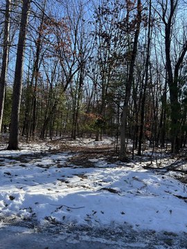 Wooded Building Site
