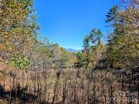 Land, Green Mountain, NC