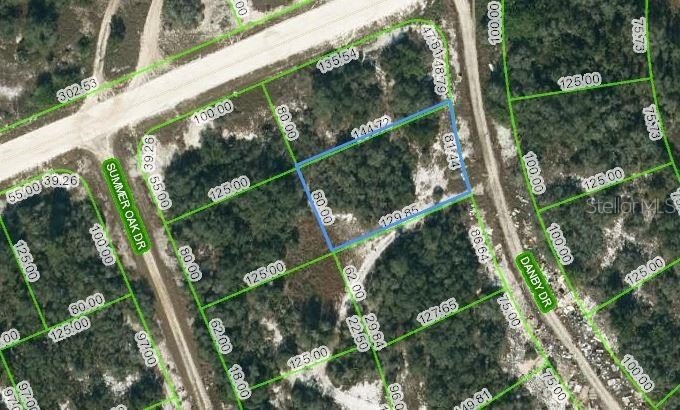 Residential Land in Lake Placid