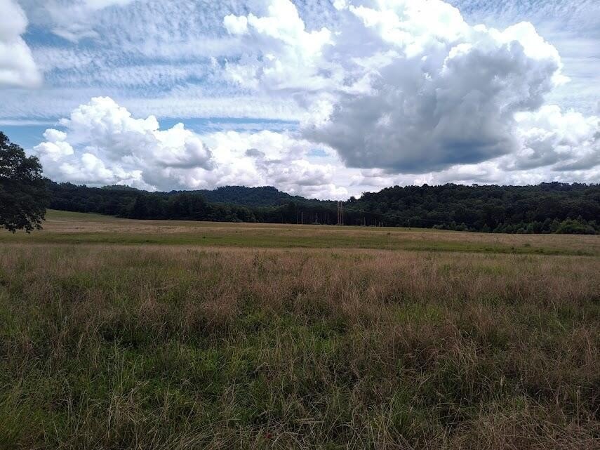 Rare Acreage in Morehead, KY