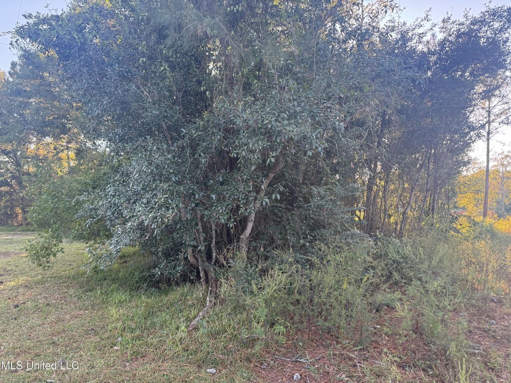 Picture 2