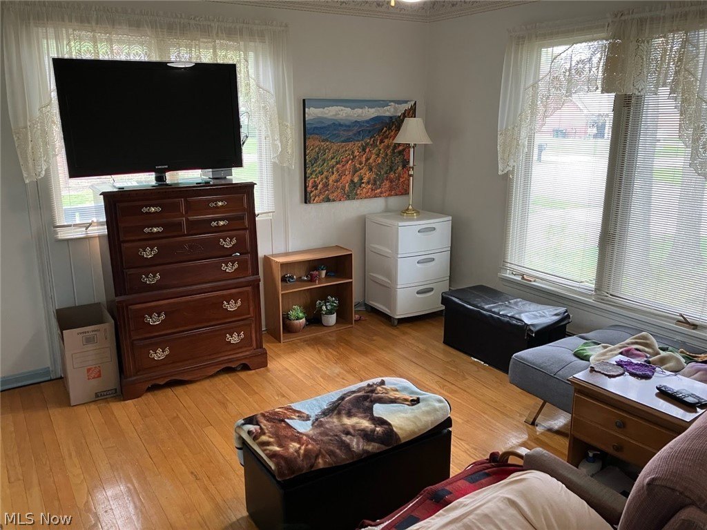 Picture 19