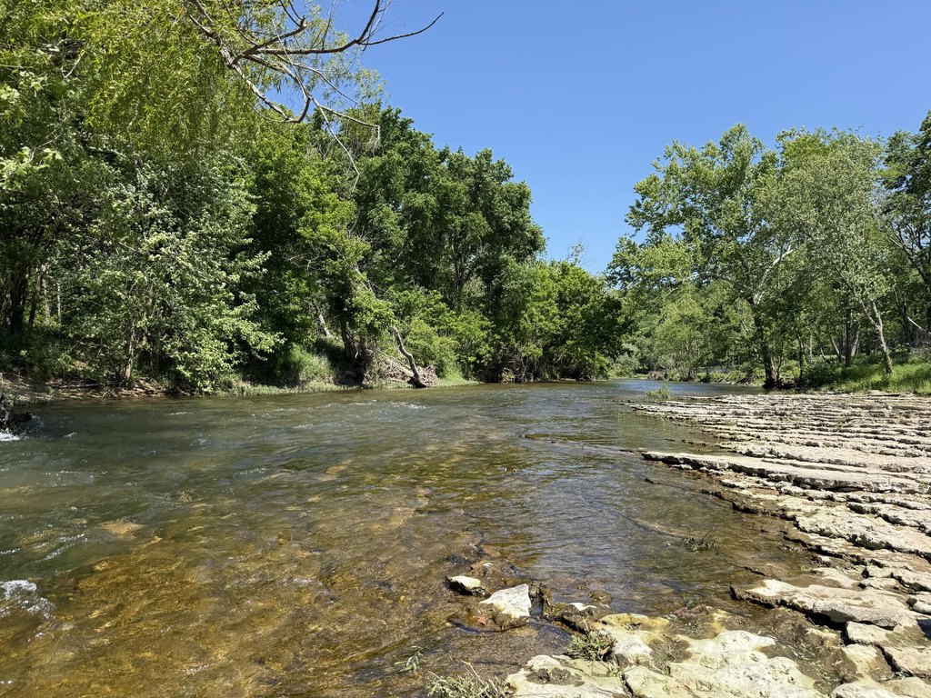 Picture 16
