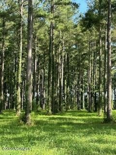LAND - Oriental, NC