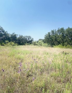 Wooded Unimproved Lake-Area Lot