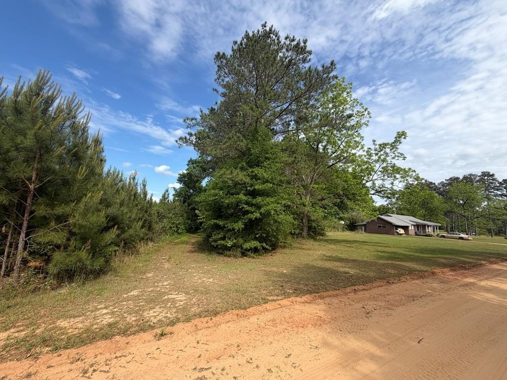 Income-Producing Land in Brantley, AL