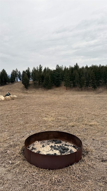 Picture 11
