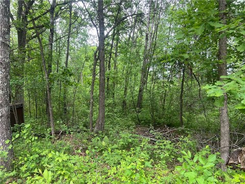 Wooded Land Near Danbury Flowage