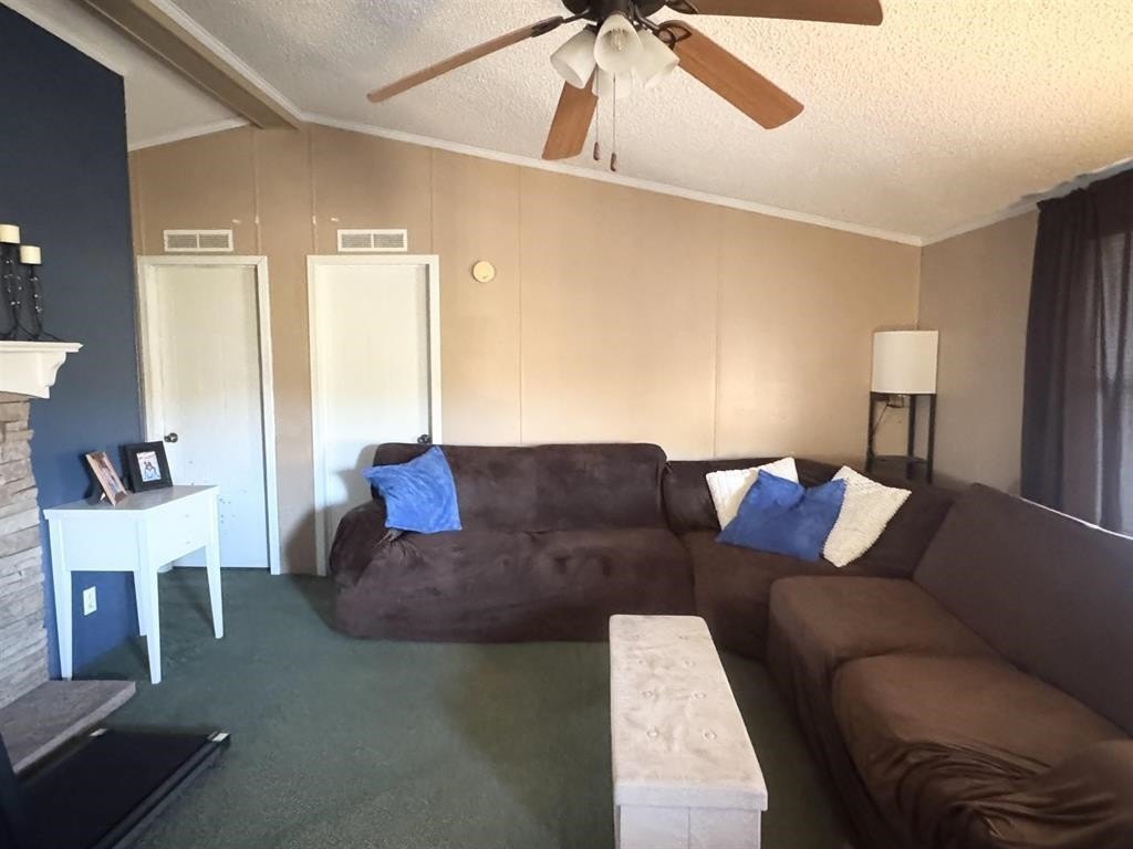 Picture 31