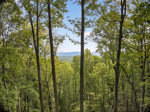 67.47 Acres in Murphy, NC