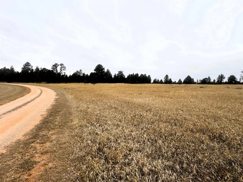 Acreage Tract with Multiple Building Sites