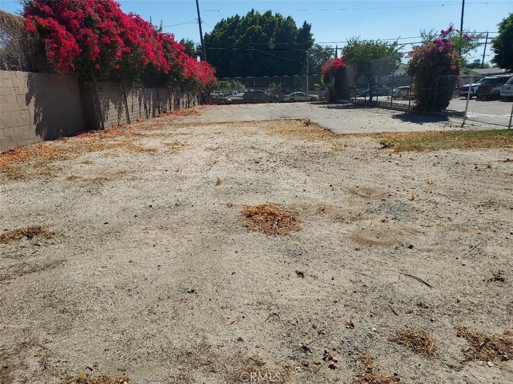 Picture 12
