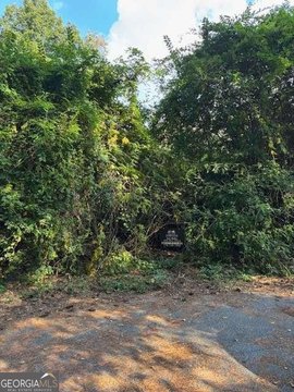 Residential Land in Atlanta, GA