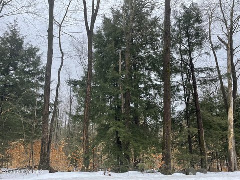 Adirondack Land Subdivision Opportunity
