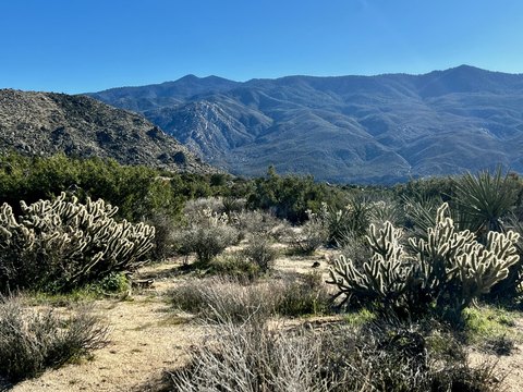 Tranquil Land in Pinyon Crest