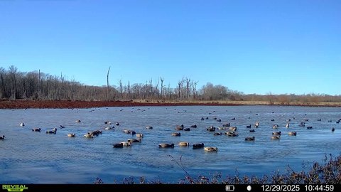 Stuttgart Farm and Hunting Land