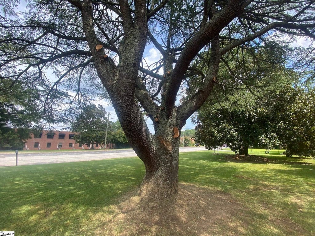 Picture 31