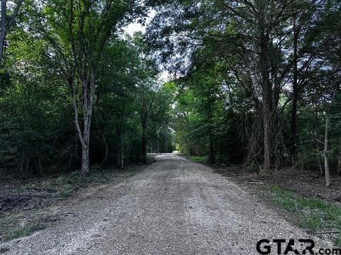Wooded Acreage Tract for Building