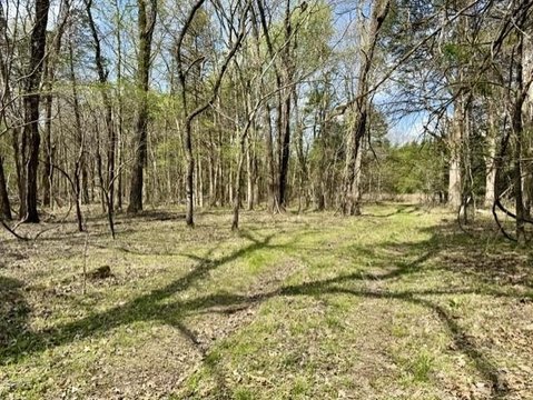 243 Acres Wooded Land, Strawberry, AR