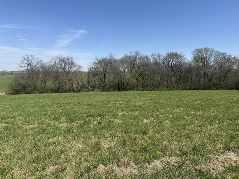 Acreage Building Site on Hard Road