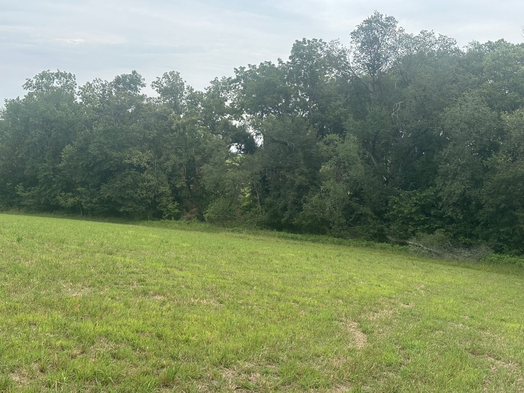 Picture 12
