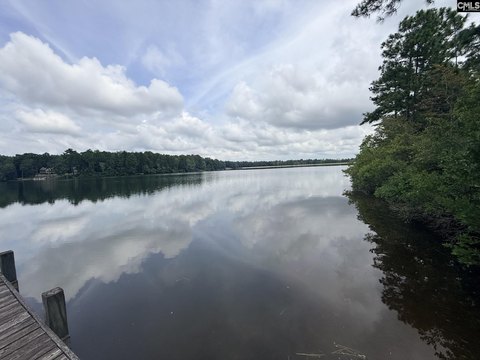 LOTS AND ACREAGE, Wagener, SC