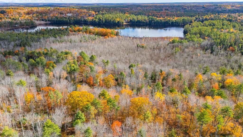 Picture 38