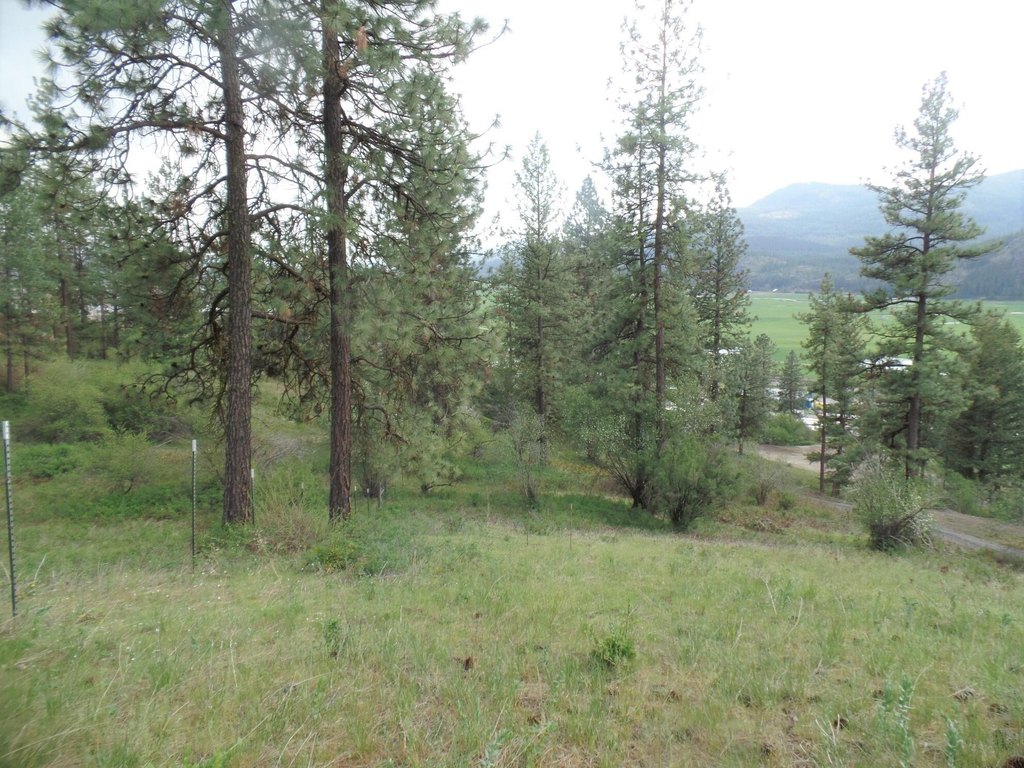 Picture 7