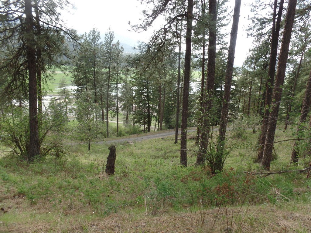 Picture 12