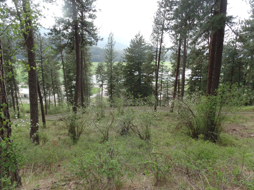Picture 9