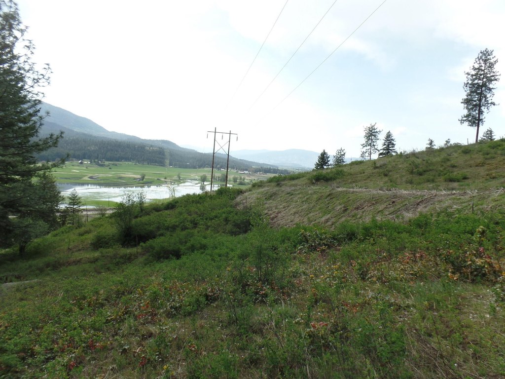 Picture 21