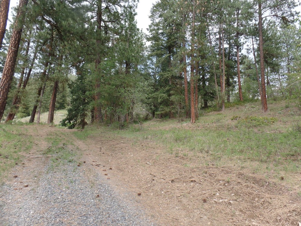 Picture 19