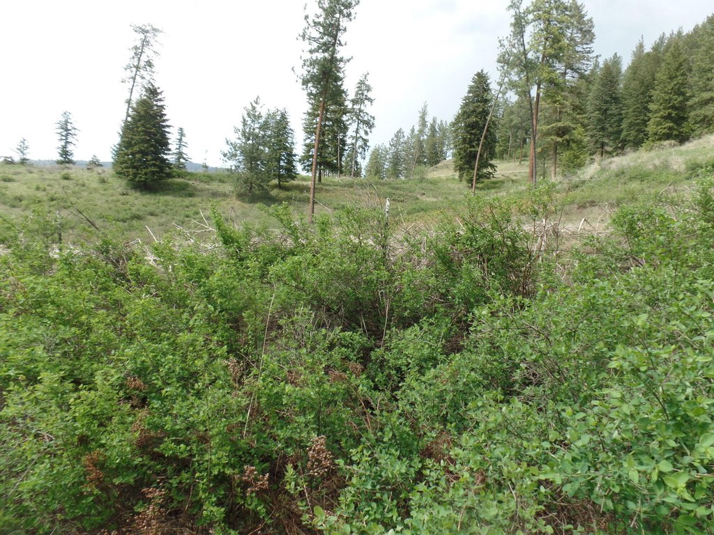 Picture 20