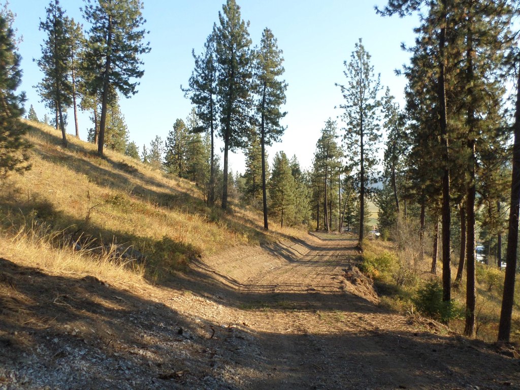 Picture 18