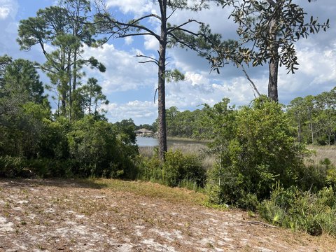 Lakefront Lot in Turtle Cove