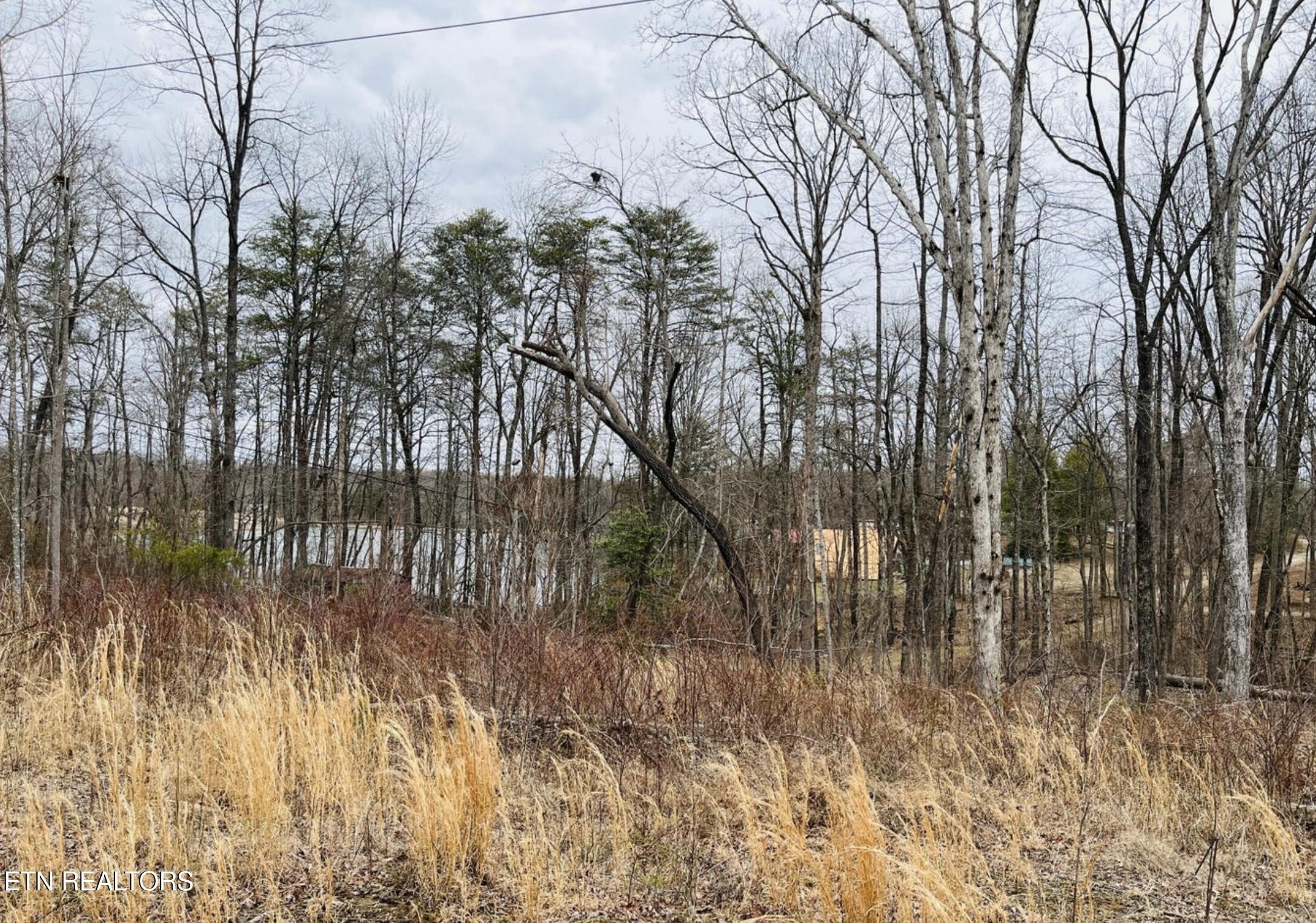 Unrestricted Lake View Lot