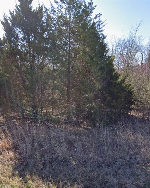 Picture 7