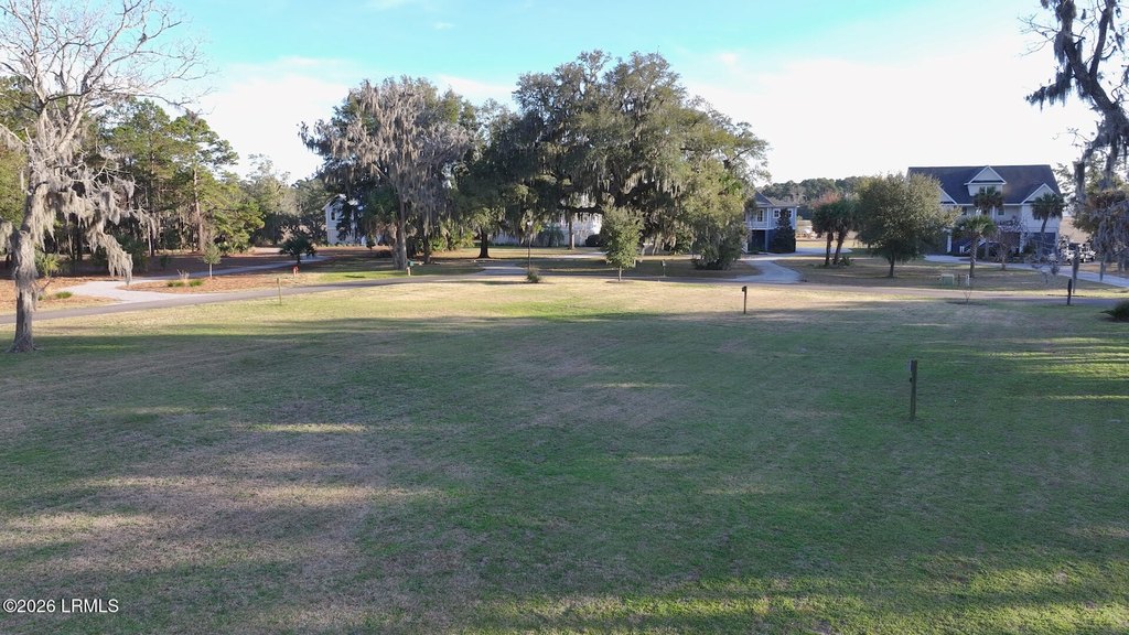 Picture 31