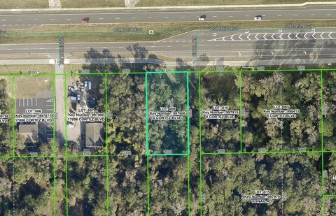BROOKSVILLE Land with Commercial Potential