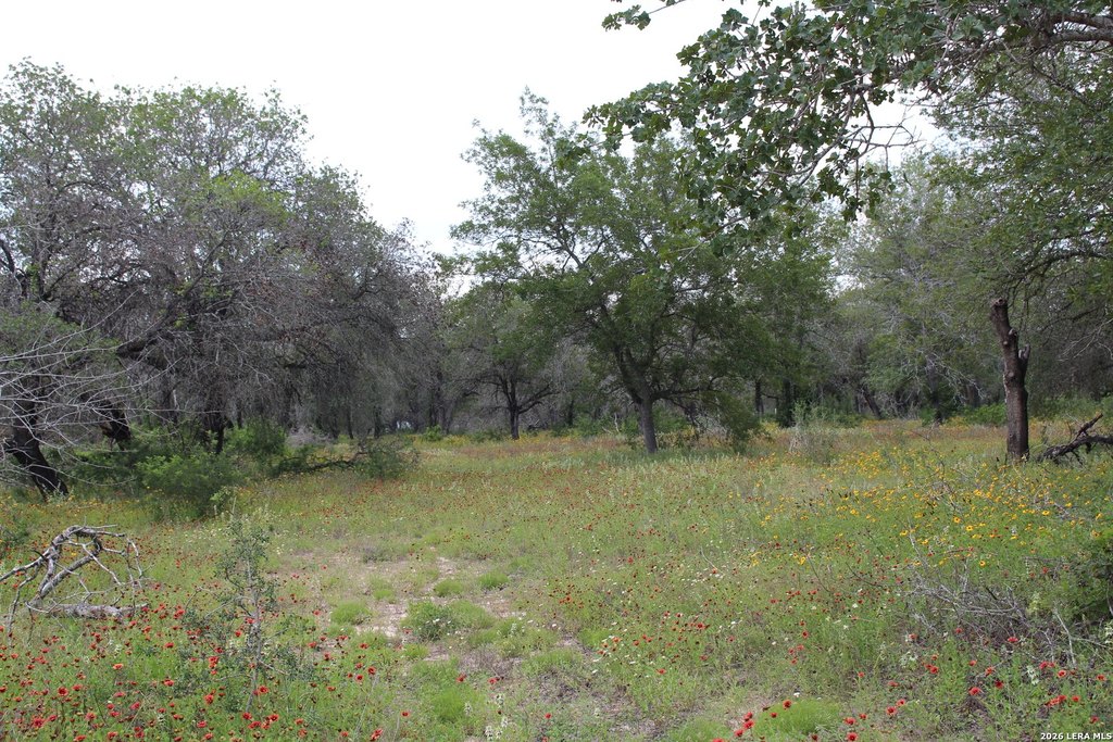 Picture 19
