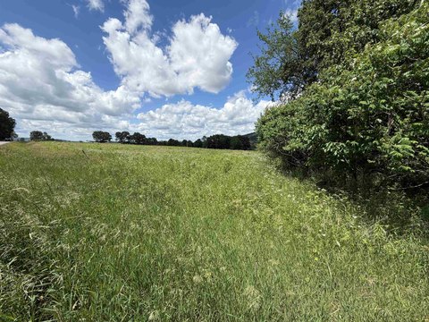 Agricultural Farmland Parcel