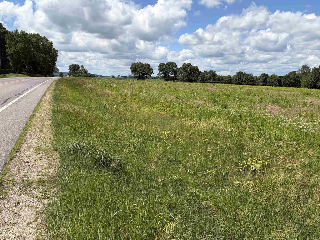 Picture 20