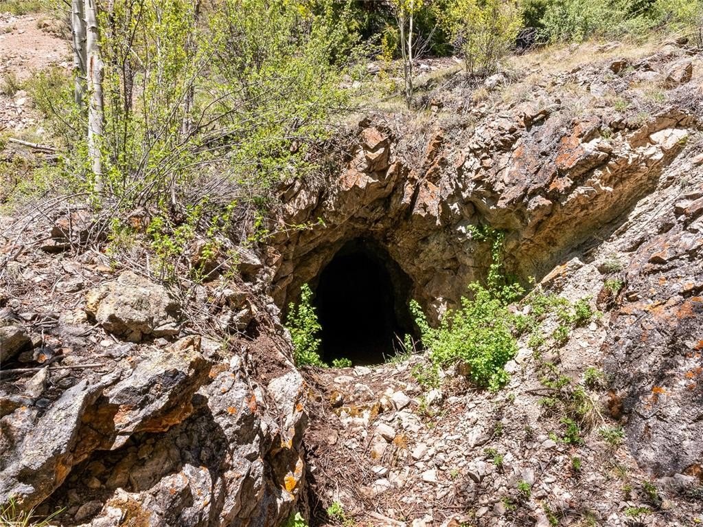Picture 7