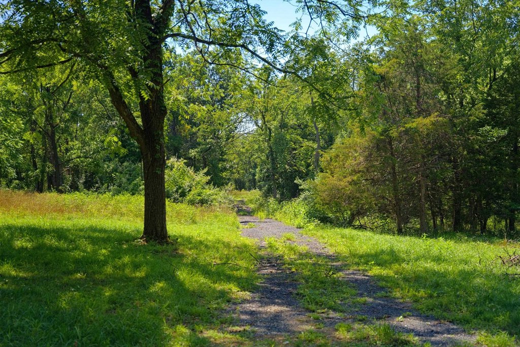 Picture 15