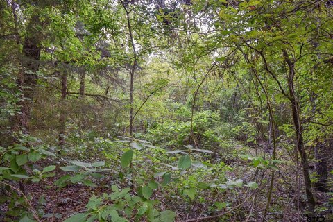 Rural Acreage on County Road