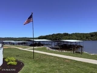 Picture 16