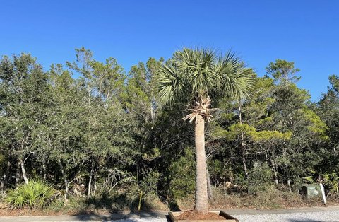 Residential Land Near Lake Carillon