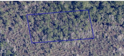 Undeveloped Land in Grant-Valkaria