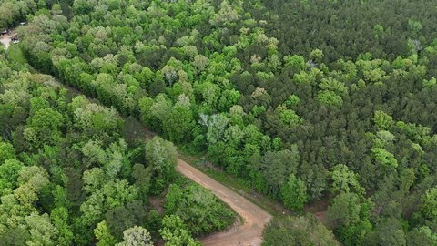 Wooded Hunting Land Tract