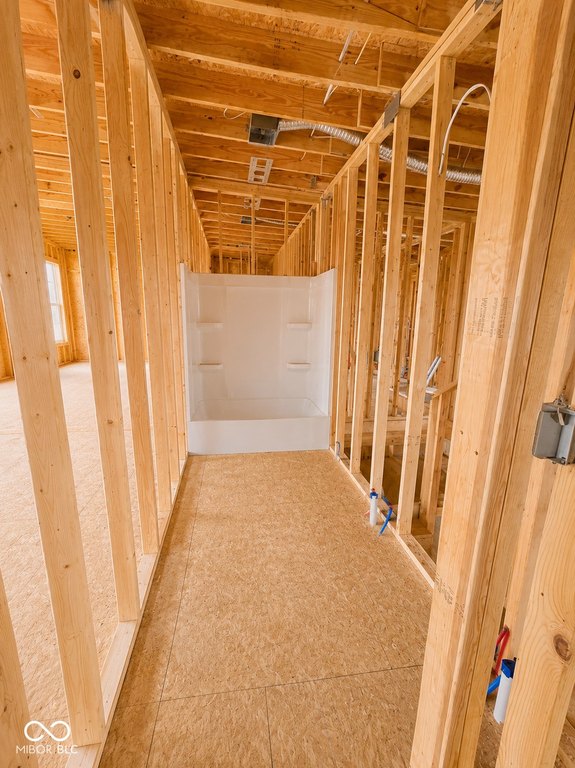 Picture 19